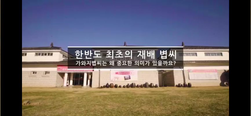 가와지볍씨는 왜 중요한 의미가 있을까요?