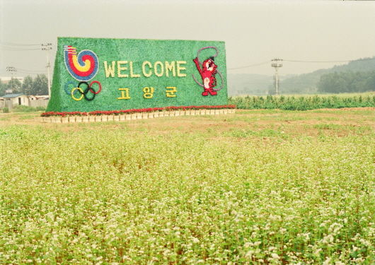 1988 Summer Olympics (Wondang-dong)