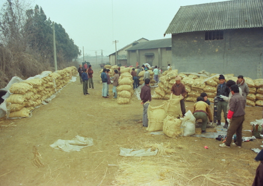 Grain purchase in front of Baekseok Church (1980s)