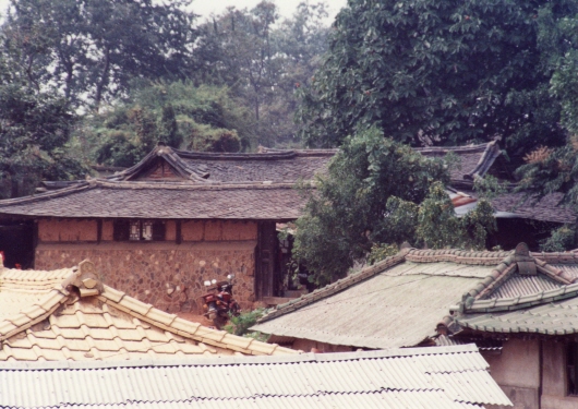 Distinct tile-roofed house in Tanhyeon-dong
