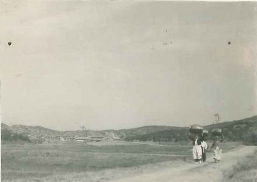 Dokjeong Town, Tanhyeon-dong, Ilsanseo-gu (Tanhyeon Town in 1960s)