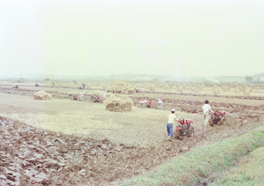 Janghang regions(1985)