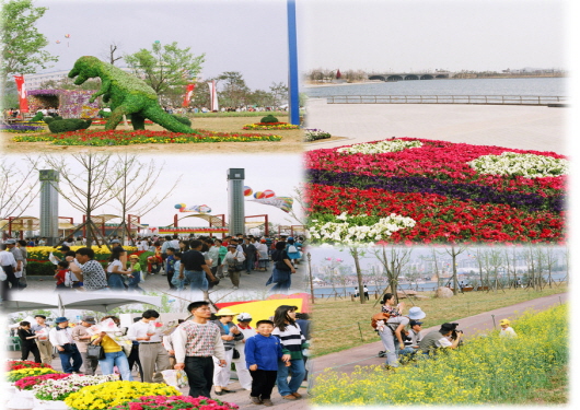 Flower Exhibition (January 1997-3)