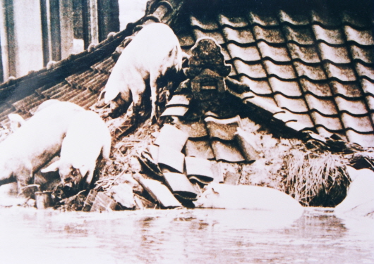 Flood damage in Hangang River and levee breach (1990-5)