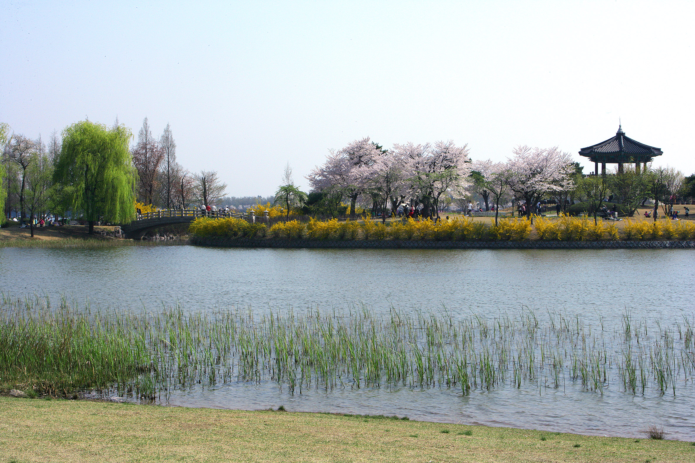 Story of Apdo Island of Lake Park at the time of King Yeongjo of Joseon