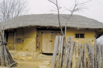 Ilsan Bamgasi Choga (thatched house))