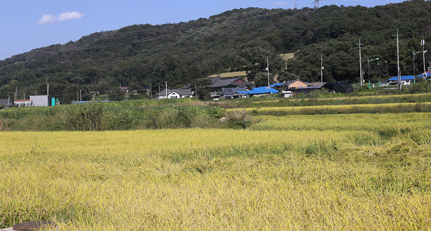 대자산