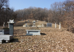 tomb of Gyewongun and shindobi