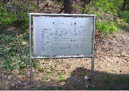 The beautiful carving method of shindobi, the tomb of Mr. Yoo YeoRim