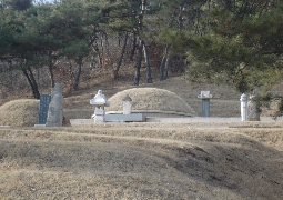 The cultural heritage, Shindobi, The tomb of Mr. Han Gye Mi