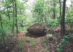 Dolmen even in Goyan city ? Guksabong jiseongmyogun