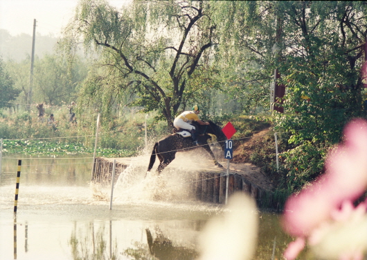Equestrian in 1988 Summer Olympics