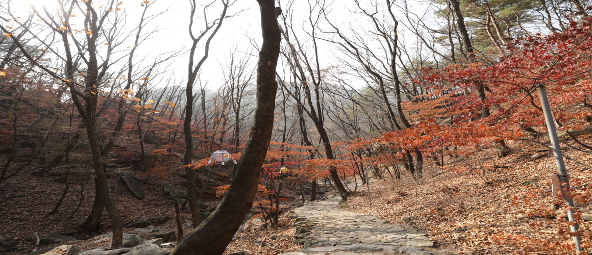 Autumn Road to Nojeoksa Temple