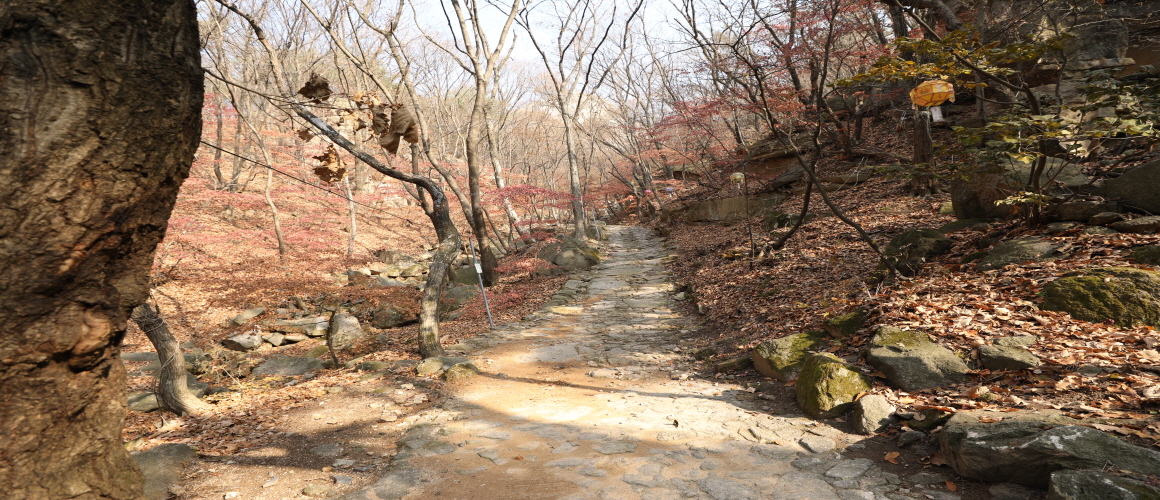 Road to Nojeoksa Temple