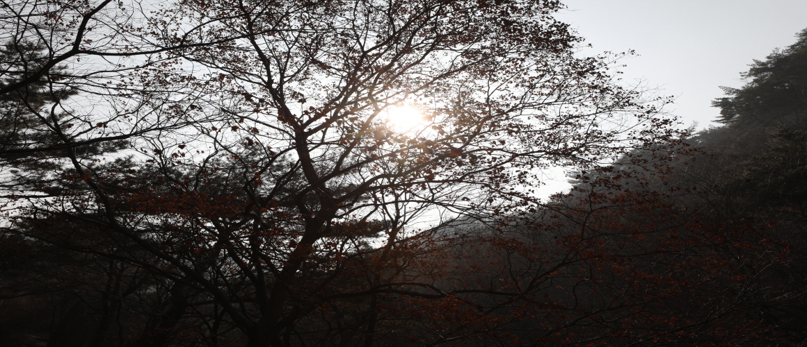 Baegundong Valley