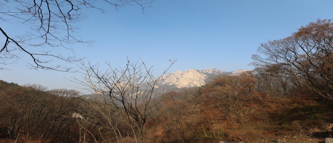 Nojeokbong Peak and Baegundae Peak Seen from Buwangsa Temple