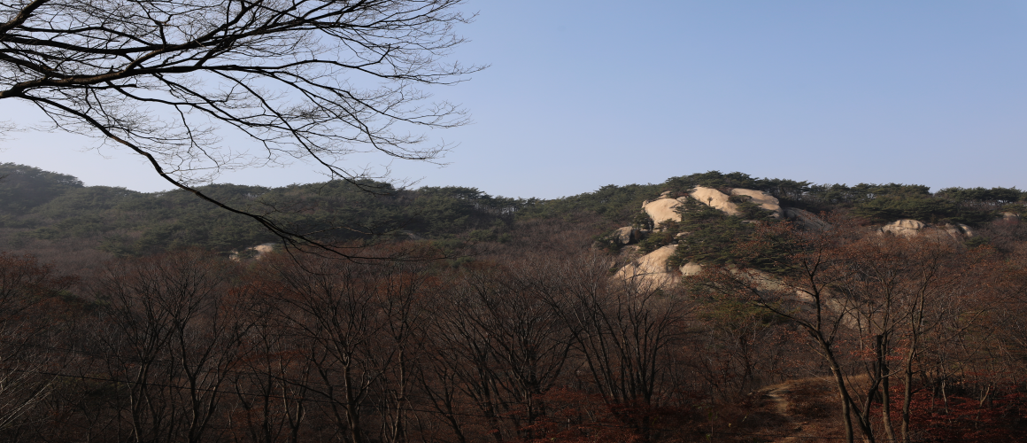 Nojeokbong Peak and Baegundae Peak Seen from Buwangsa Temple