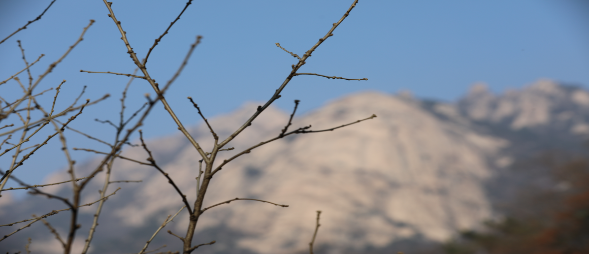 Nojeokbong Peak and Baegundae Peak Seen from Buwangsa Temple