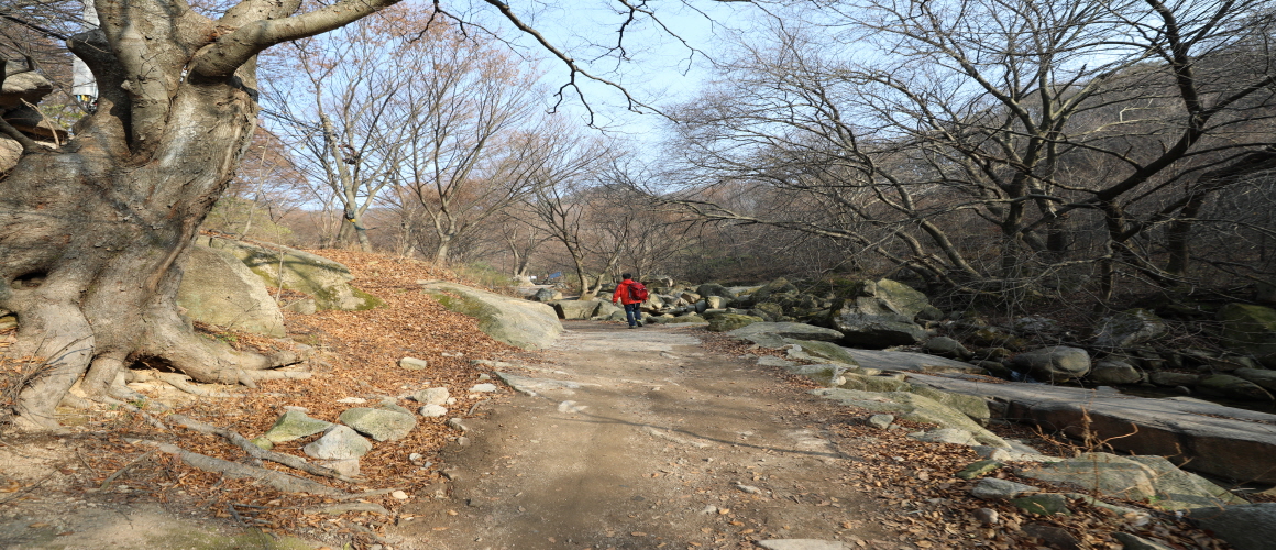 숙종의 길 (대서문~행궁지)