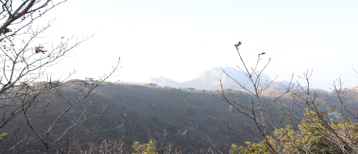 Dongjangdae Command Post and Bukhansan Mountain Main Peak Seen from Gokjang