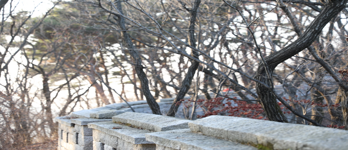 Fortress Around Dongjangdae Command Post