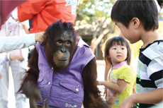 쥬쥬테마동물원