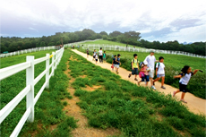 KRA경마교육원(원당종마목장)