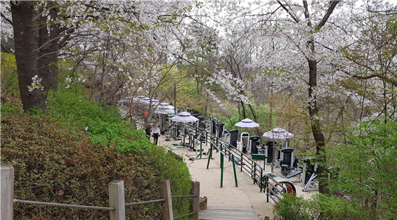 정발산(鼎鉢山)