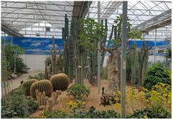 녹색치유식물원