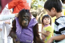 テーマ動物園ジュジュ