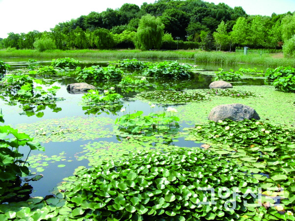 아랫말산 사진