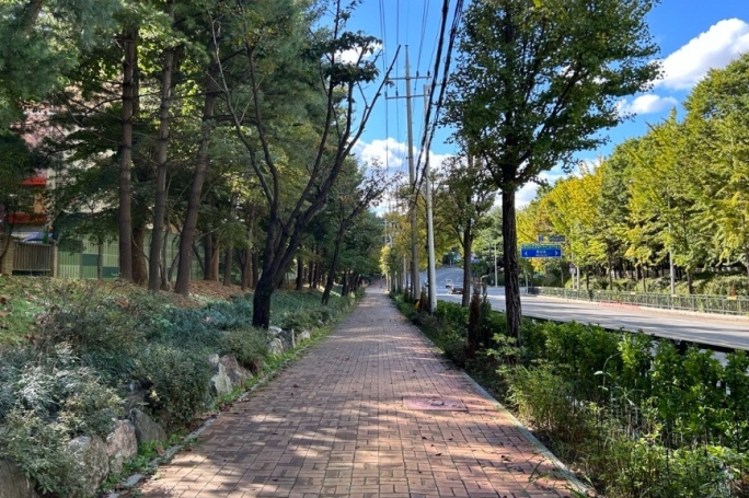 소만초교 일원 가로화단 조성(2025)