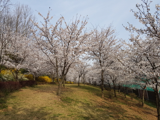 고양둥이동산1 