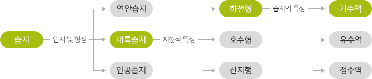 습지(입지 및 형성) → 연안습지, 내륙습지(지형적 특성), 인공습지  → 하천형(습지의 특성), 호수형, 산지형  → 기수역, 유수역, 정수역