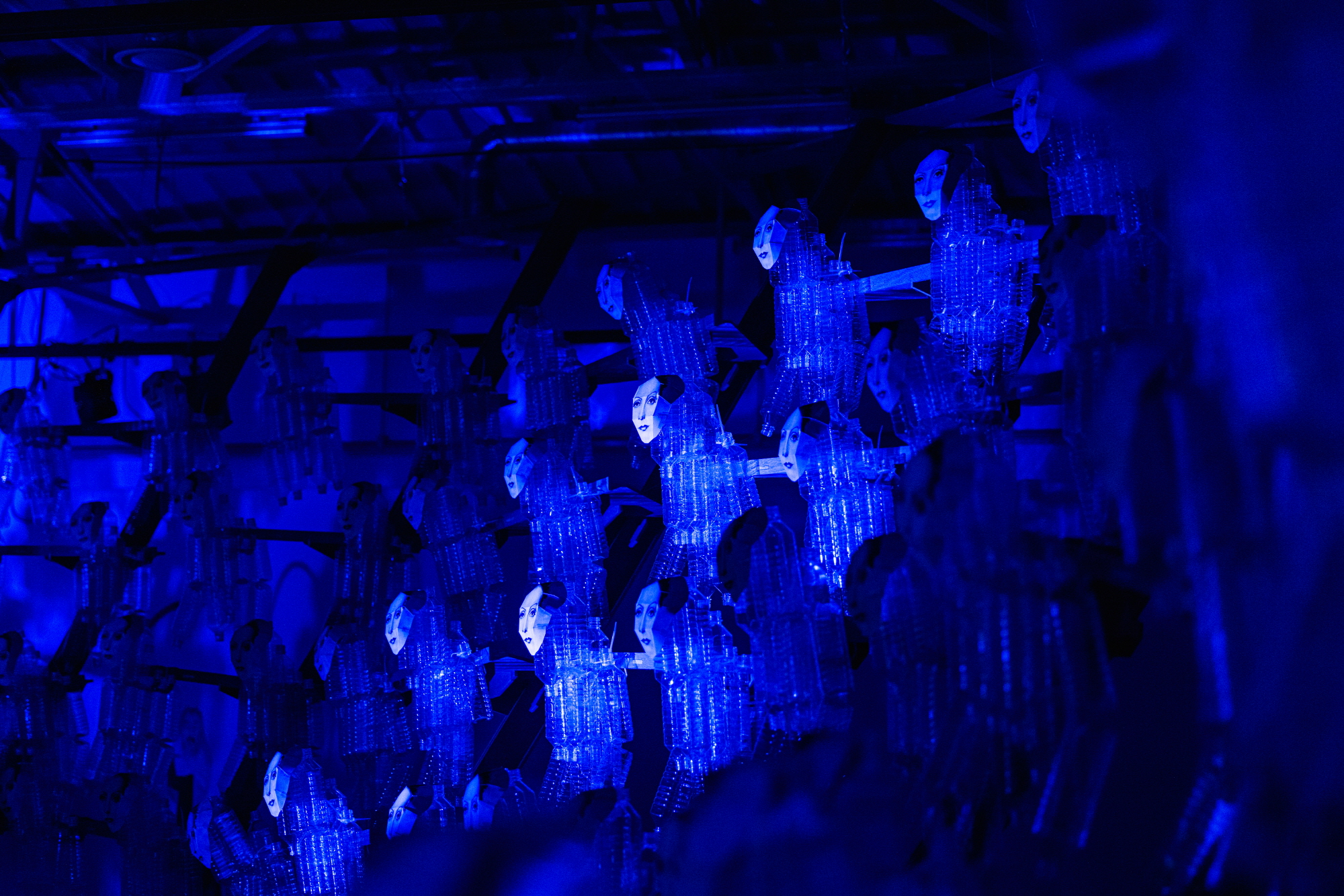 다페르튜토 금천 (2024)