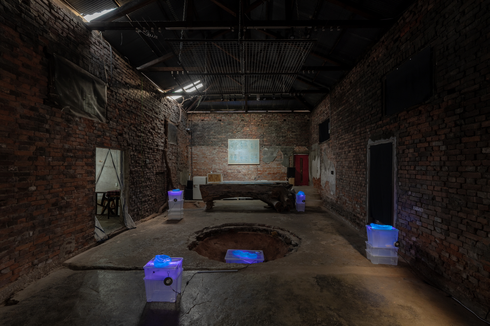 《NEMO》전시전경 (2024)