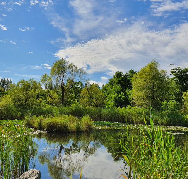 Natural Ecological Experience image