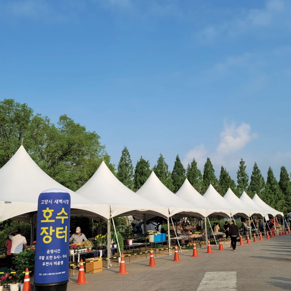 새벽시장 호수장터