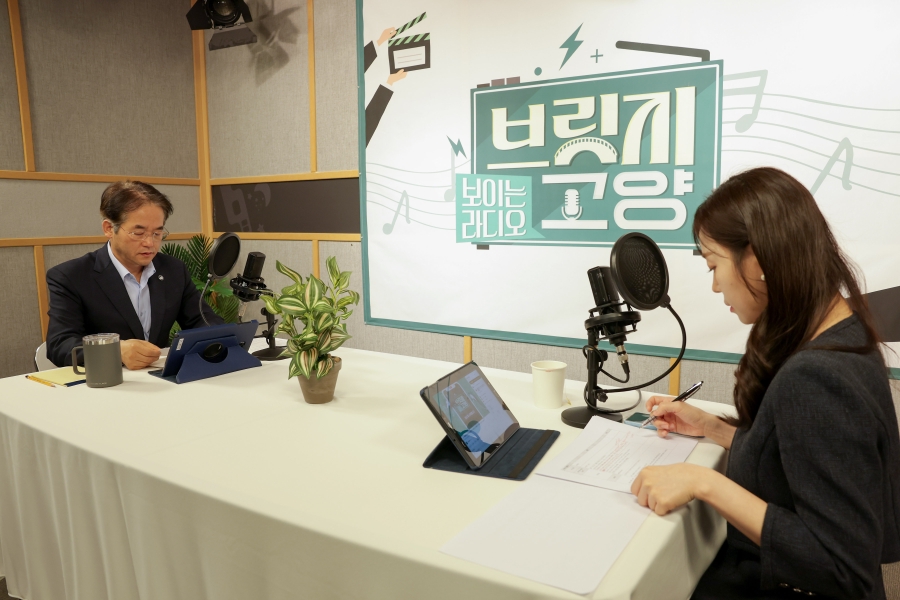 보이는라디오 브릿지 고양