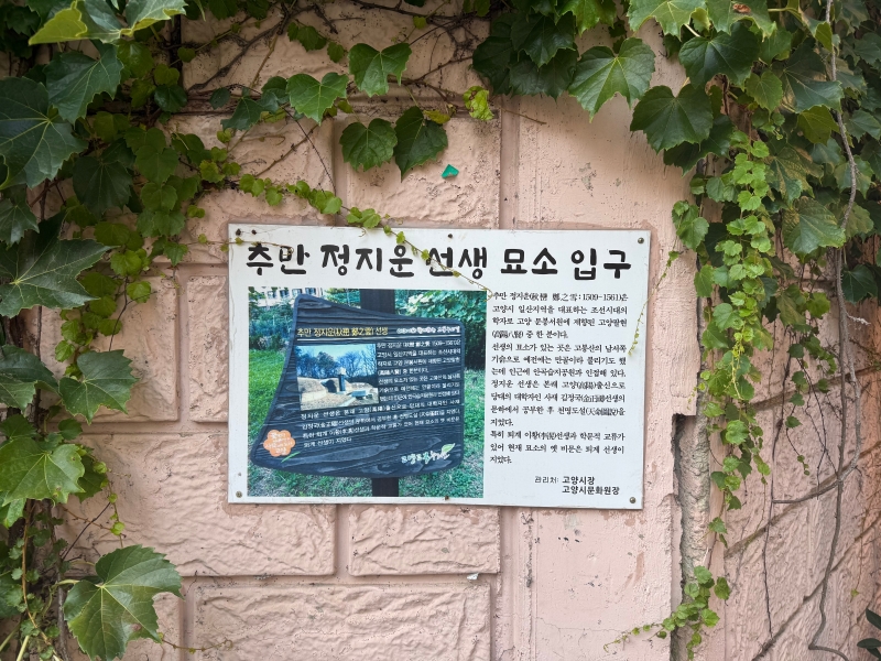 정지운 선생 묘