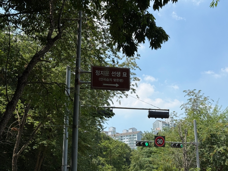 정지운 선생 묘