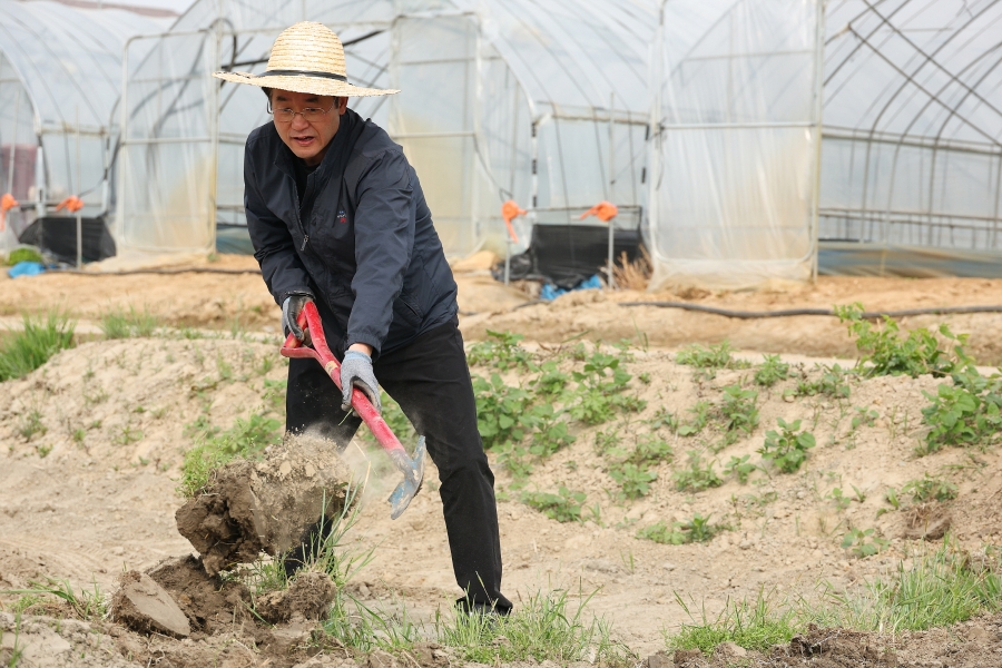 한반도 최초 재배벼 가와지 모판나르기